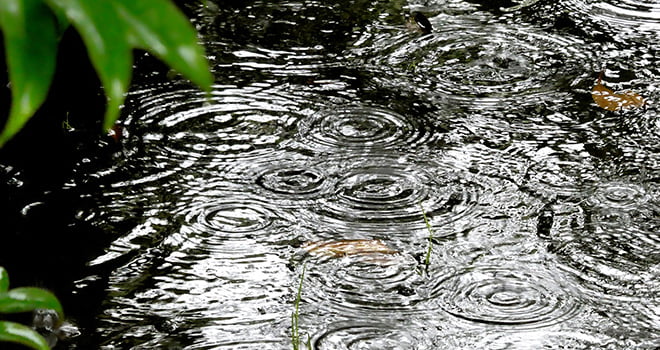 下水管更生・調査
